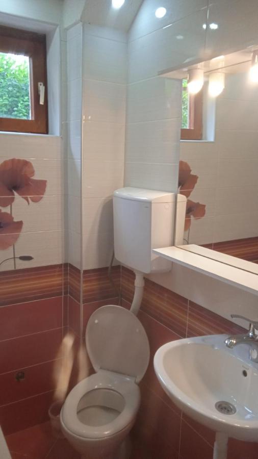 Apartments Jovana Petrovac Екстер'єр фото