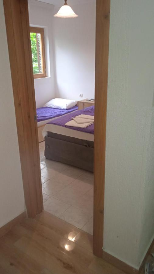 Apartments Jovana Petrovac Екстер'єр фото