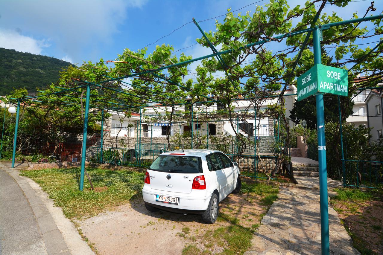 Apartments Jovana Petrovac Екстер'єр фото